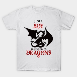 Just a boy who loves dragons T-Shirt